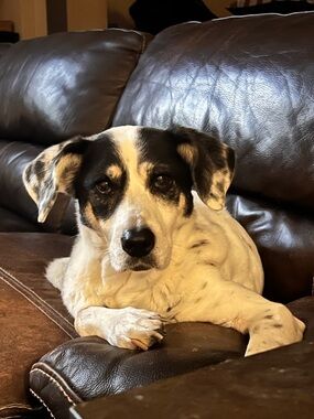 Meet your Posher, Jaimee